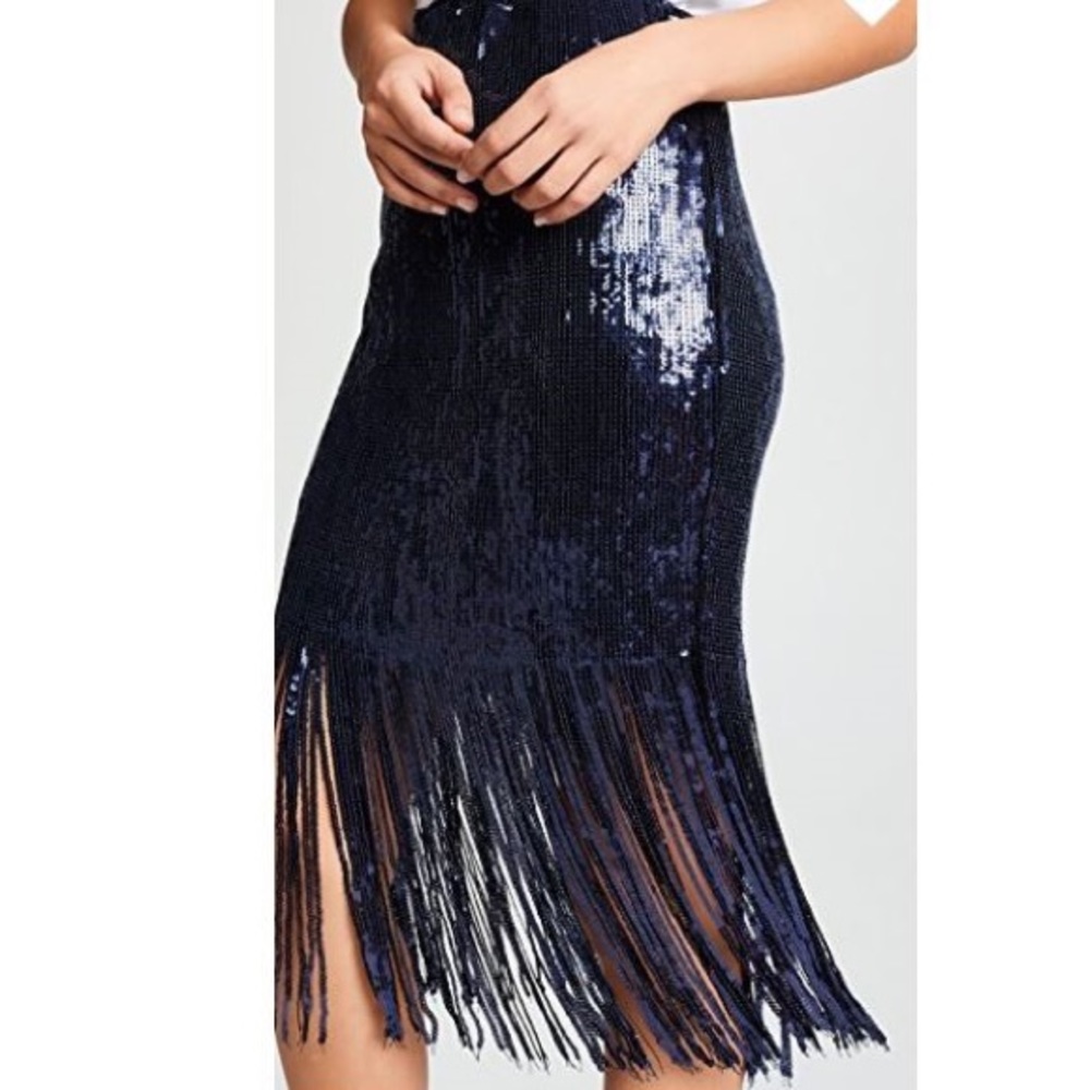 Endless Rose Sequin Fringed Skirt - Picture 5 of 8